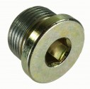 Oil Fill Plug