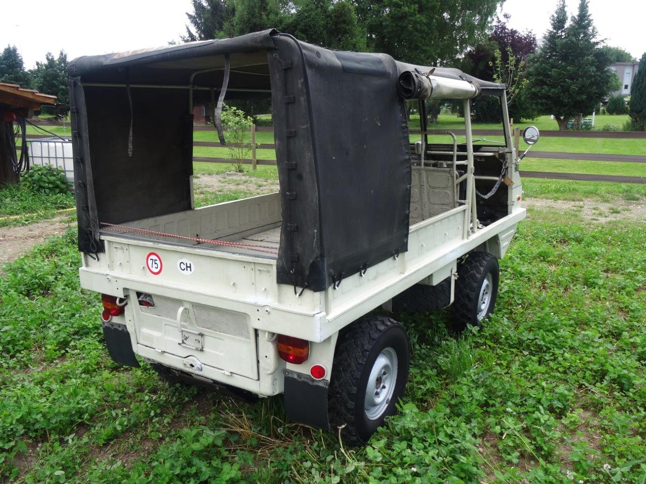 Rare Civilian Haflinger  Version II
Softtop with f ..