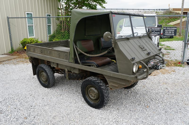 Haflinger Swiss Army
